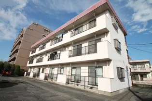 グレース秋川の画像