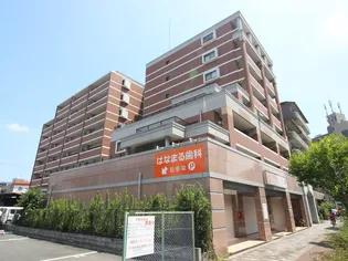 レックス豊新の画像