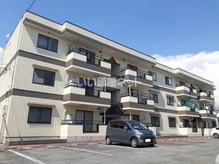 シティ ウィンズBの画像