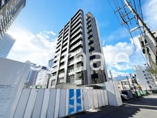 桜木ーMSKの画像