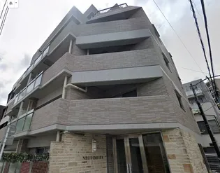 ネオディモーラの画像