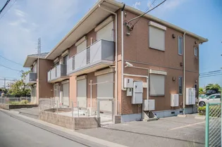 シャロームDの画像