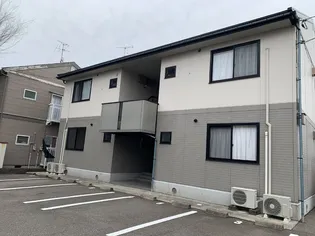 シャンパーニュMの画像