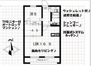 フォンターナ杉浦【3階】の間取り