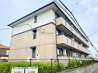 埼玉県さいたま市西区大字宝来【アパート】の外観