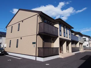 ウィット リッシュの画像