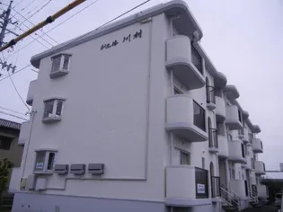 ドエル川村【3階】の外観