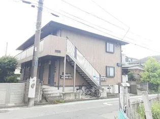 リトルターンの画像