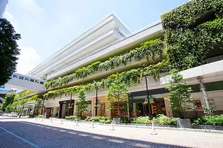 ニューガイアリルーム用賀 32【5階】の周辺