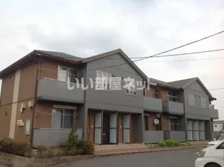 ルーチェの画像