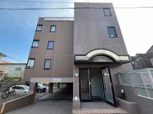 アモールの画像