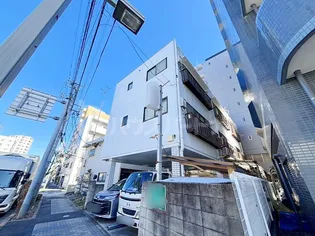 カメリアIIIの画像