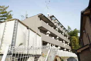 カテリーナ生田の画像