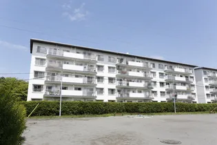 UR善行の画像
