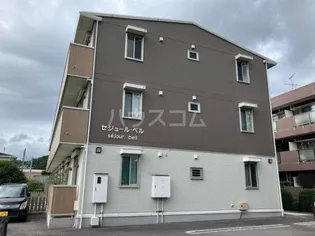 セジュール ベルの画像