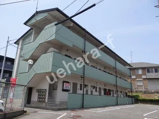 ツインコートマキシムの画像