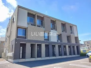 ルピナスの画像