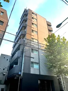 アルテシモフランの画像