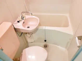 ミュージアム・コンド・百合丘【3階】の内装