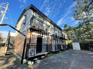 グリーンビーンズの画像