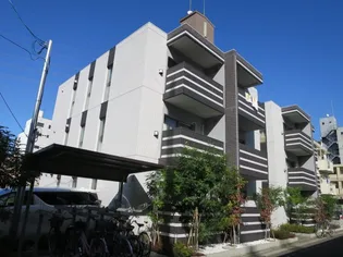 マーヴェラスの画像