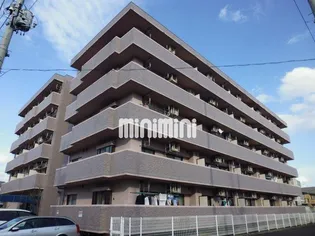 アイーラ渡辺の画像