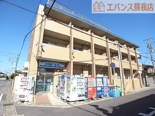 ブルーオーシャンの画像