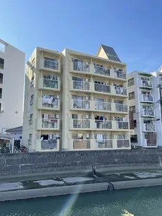 新川ハイツ【5階】の外観