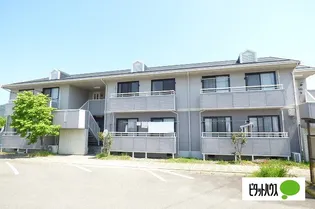 フェリカの画像