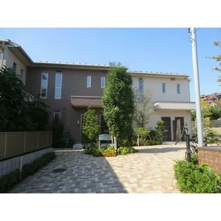 テラス アルビレオの画像