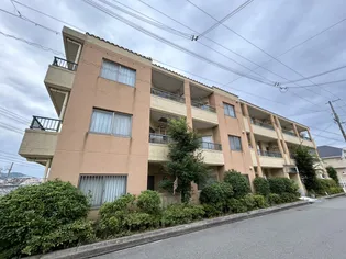 ワコーレヴィータ五色山の画像