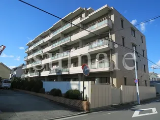 パレッヂ新小岩の画像