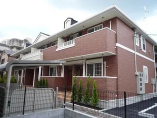 サザンクロスの画像