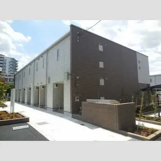 ミランダファルコナーIの画像