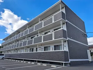 ノール泗水の画像