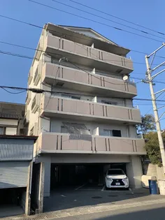 サン コーポラス将の画像