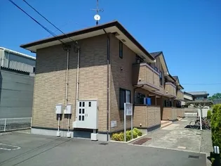 カームリリーの画像