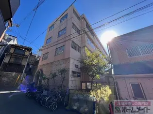 オリーブコートの画像