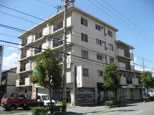 メゾンコーエイの画像