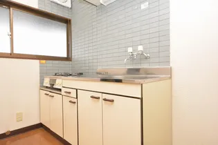 レジデンスかねこ【2階】のキッチン