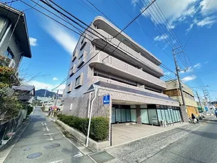 コスモピアの画像