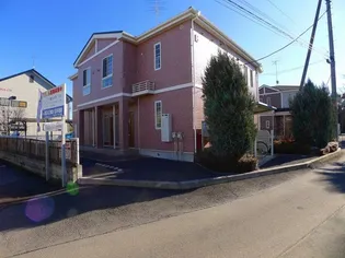 メープルⅡの画像