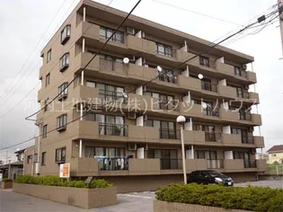 ハイクオリティ1の画像