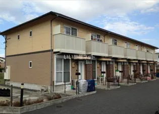 サニーカーサハルの画像