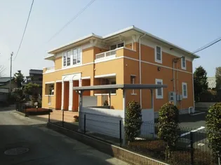 ローレルの画像