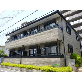 やまぼうしの画像