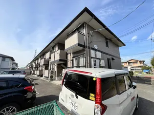 クラレンスホワイトⅠの画像