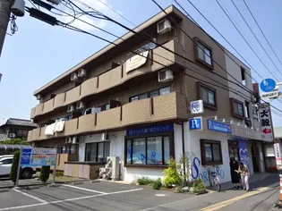 サニーレイの画像