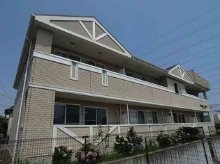 メープル リーフの画像