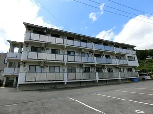 ダイナスティの画像